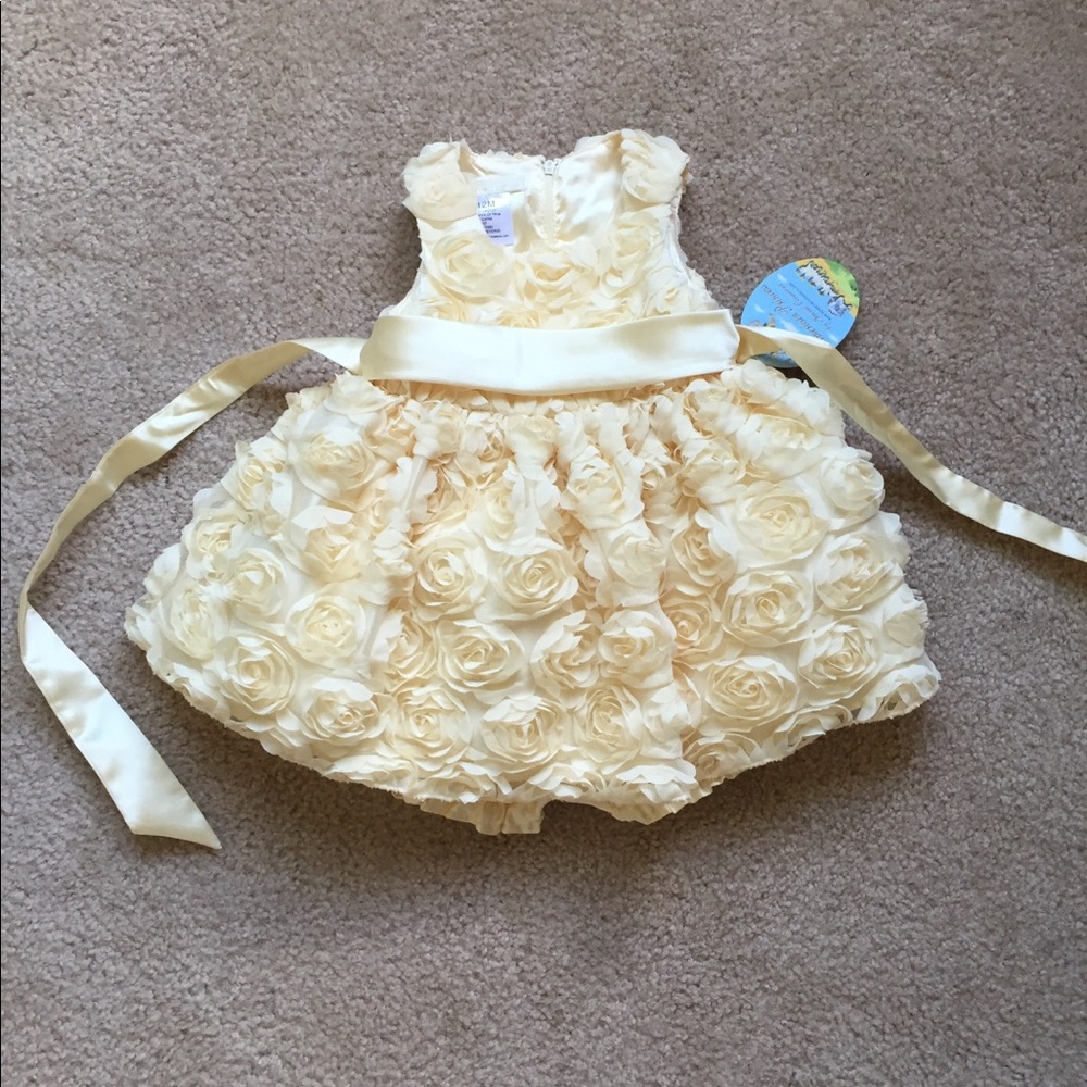 Beautiful American Princess Girls Dress Size 12 Months NWT